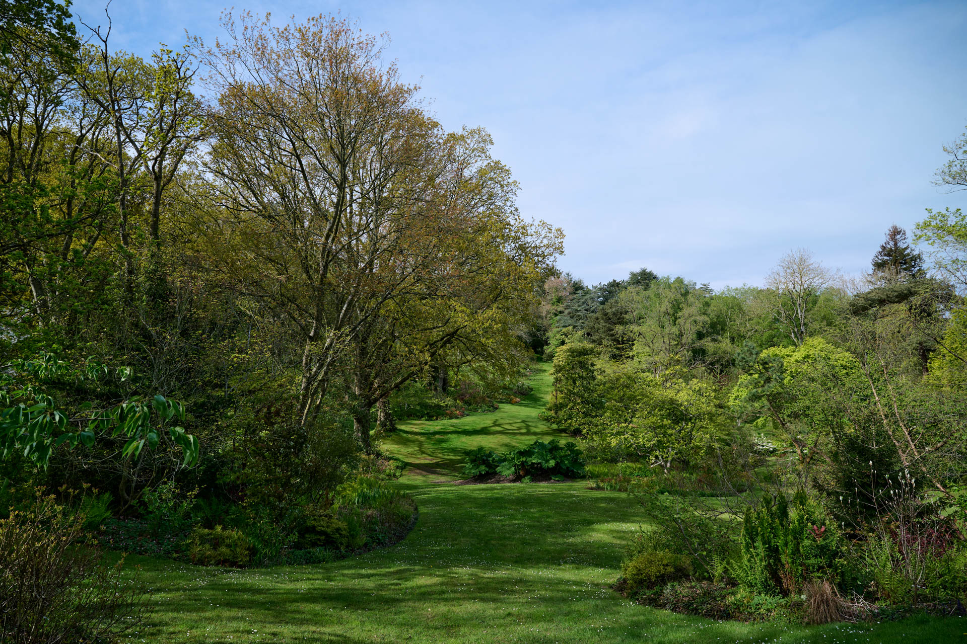 Vasterival-Printemps24-Paysages-WEB-072